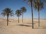 Sahara bei Douz